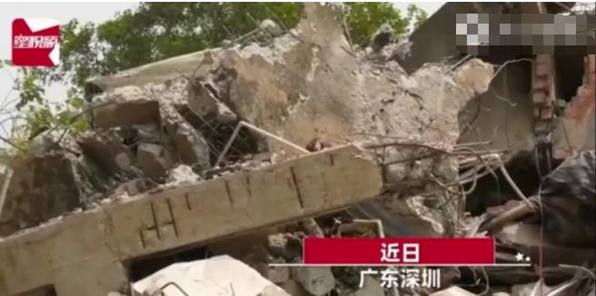 2021年广东，一兄弟俩买了一块地皮，想着在上面建造两套800平的自建房，没想到