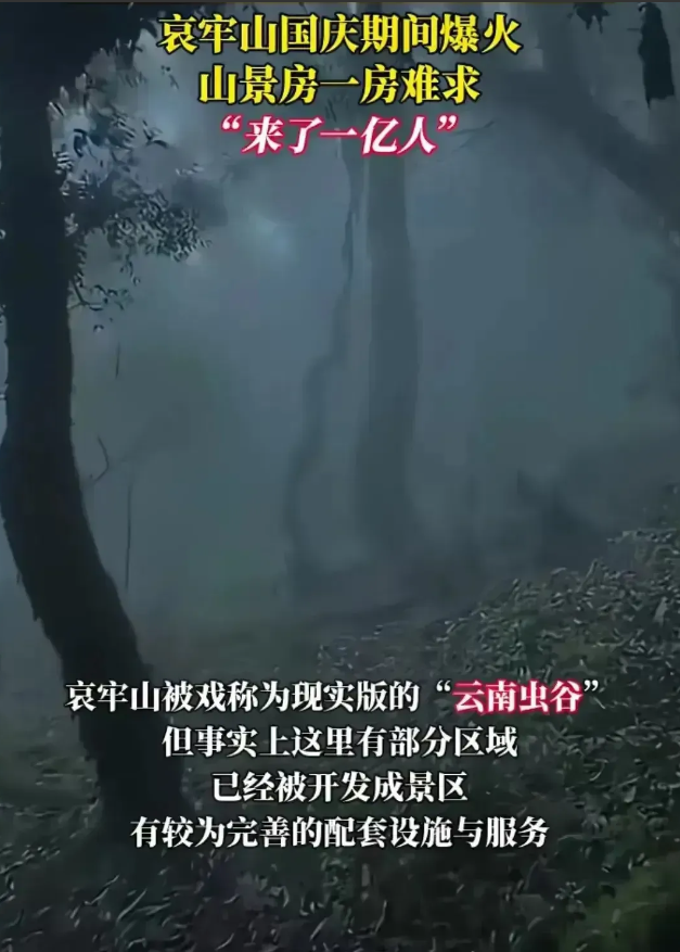 哀牢山这次算是完了。

前脚有博主在哀牢山探险，说水里有东西绝对不是鱼，要立马上