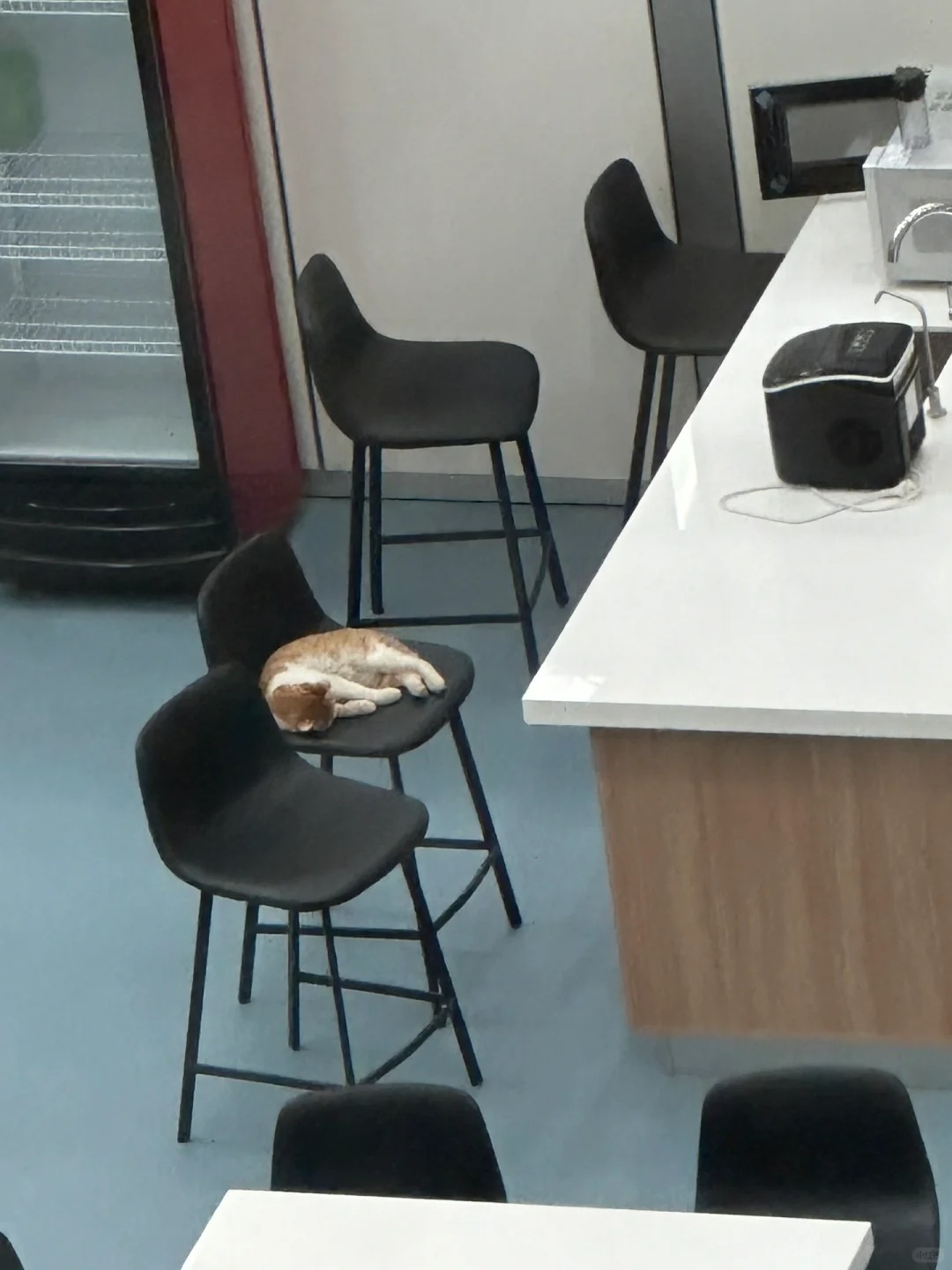 上班时间睡大觉被领导发现了
再探再报 脏东西躺在休息室睡大觉，领导推门进入，沉默