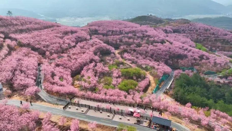 来清流 享福游 | 四大特色站点带你探索“世外桃源”文旅融合新体验！