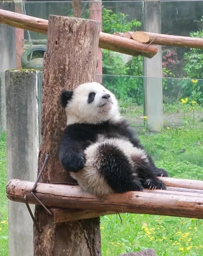 这个班为什么一定要上？