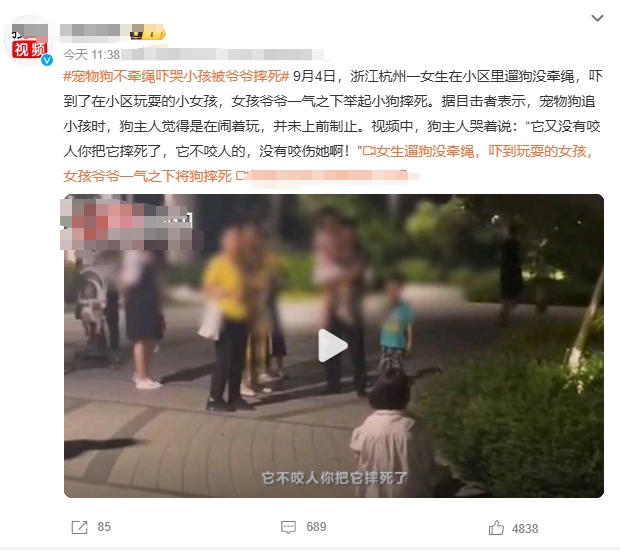 以后别人欺负你孙女了，最好也把他摔S，别只敢摔动物，戾气这么重，摔狗画面不会在你
