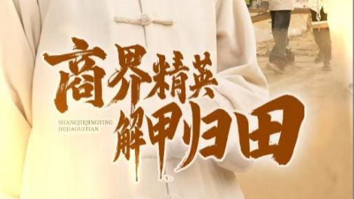 短剧在线观看《商界精英解甲归田》完整版全集（31集）