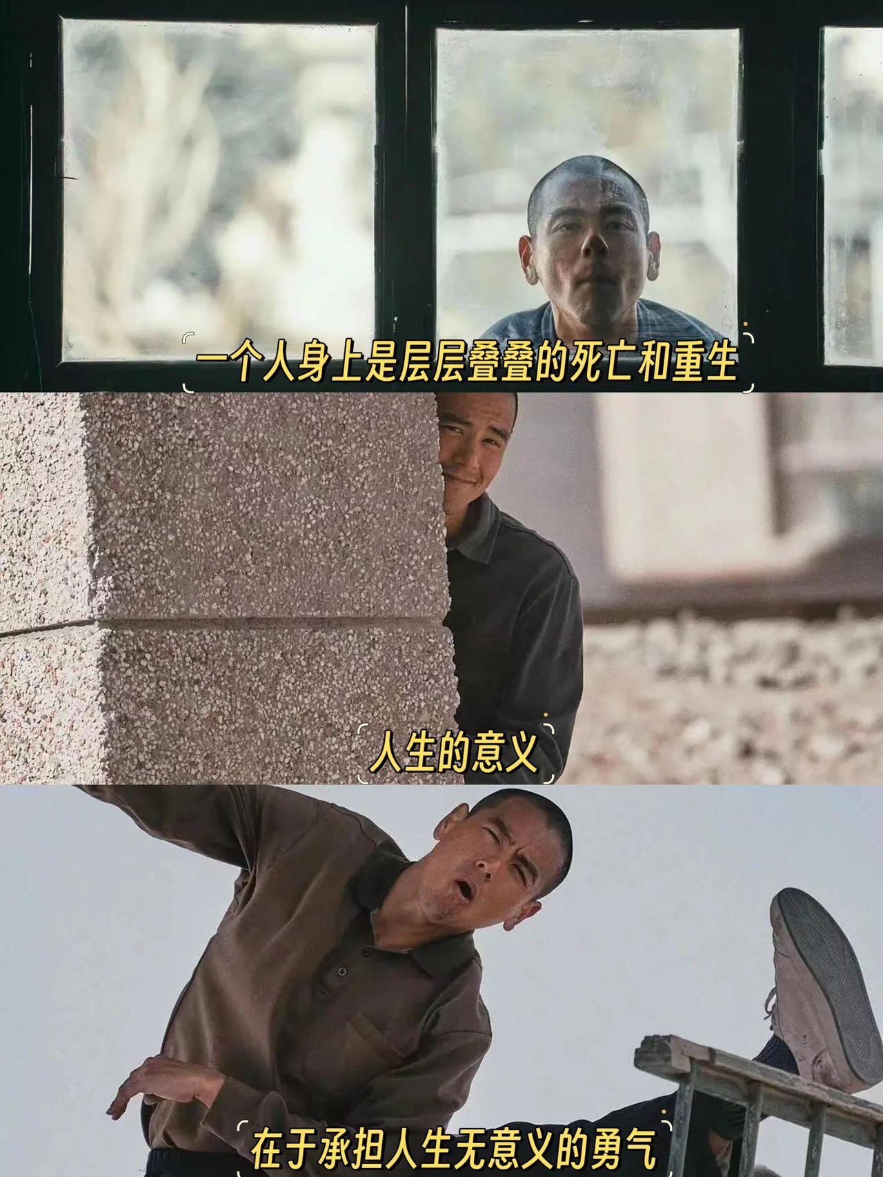 看完狗阵发现，比起皮囊，我更喜欢生命力