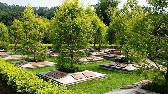 为何要推行火葬摒弃土葬？尸体下葬后的一个月，到底发生什么？