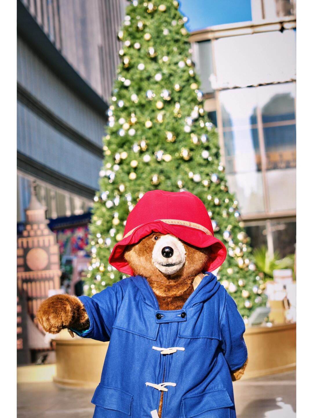 会跳舞的帕丁顿熊来武汉过圣诞啦🎄