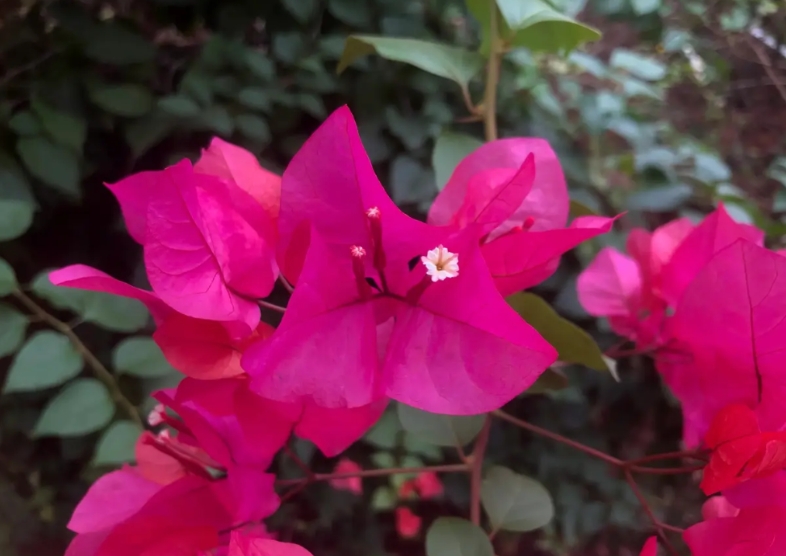 学校一班主任被学生投诉到教育局，投诉理由是班主任针对这个学生。教育局很快派人下来