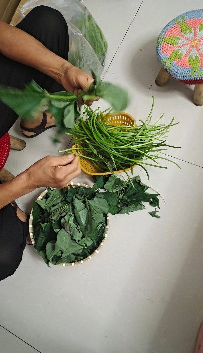 儿子懒惰不做家务，婆婆替工资高的儿媳出气