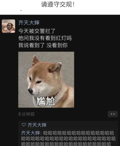 请遵守交规！
