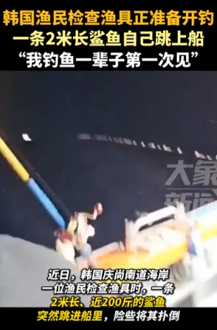 这是姜太公显灵了，愿者上钩！

近日，在韩国的青山的哦啊海岸附近，一名渔民正在夜
