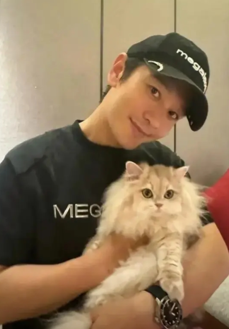黄晓明的确是高手，他以直截了当的方式化解了困境。叶柯折腾了将近两个月，变换着各种