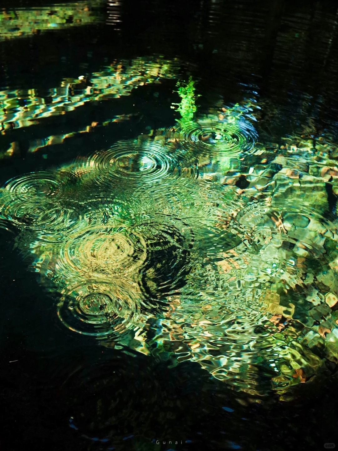 我的【绿水】合集
2023所拍的绿水合集
今天整理给大家
·
设备：理光gr2，