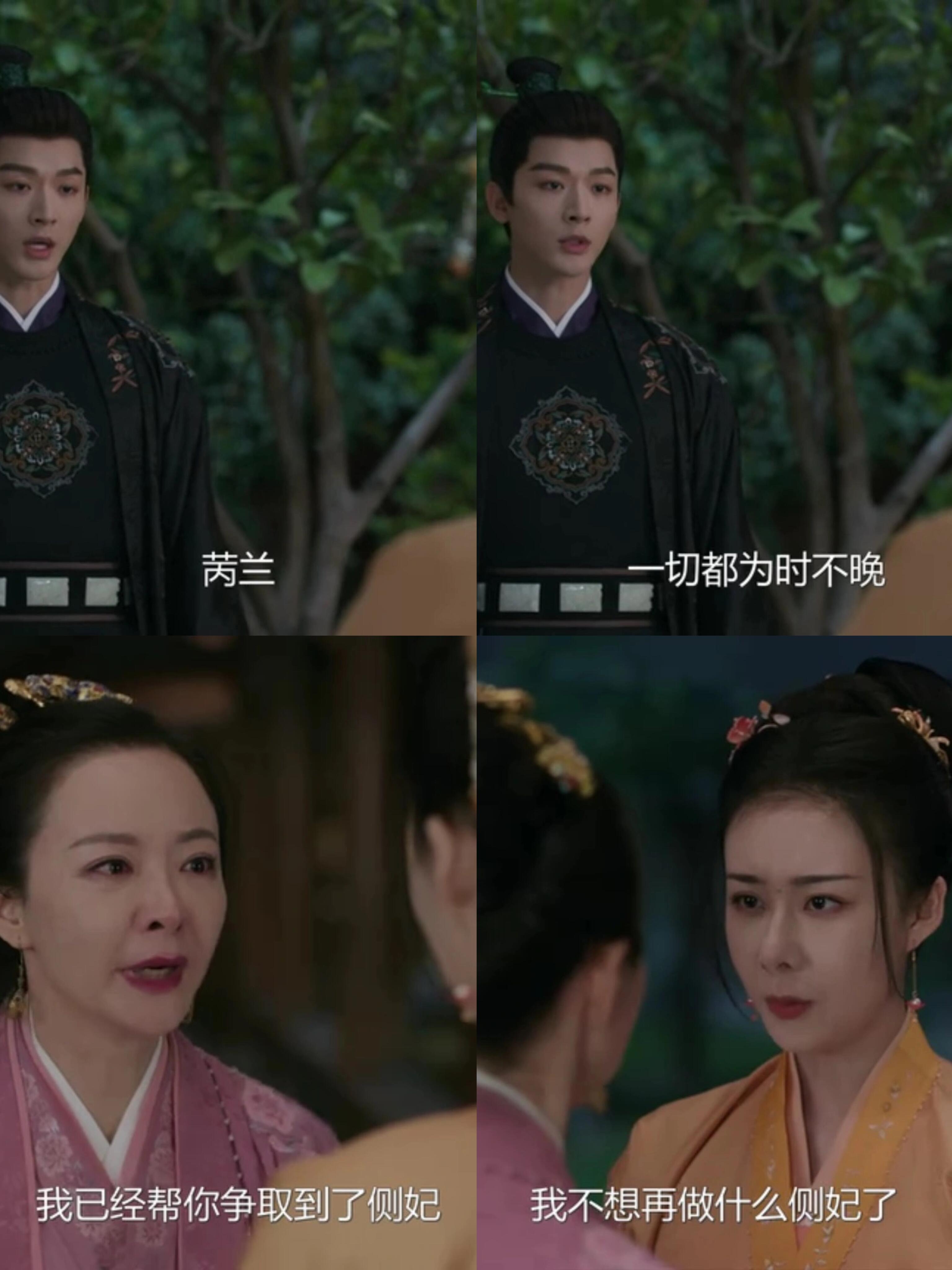 柳舟记：廉苪兰不再争淮阳王妃