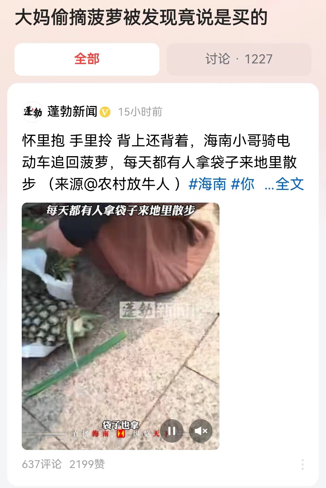 #大妈偷摘菠萝被发现竟说是买的#人若无耻则无敌！这位来到海南康养的大妈，明显不是