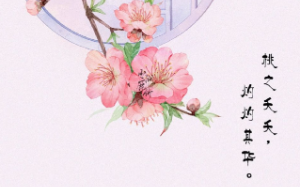 我是少年将军的金丝雀，他任由别人鞭打我又吻我的伤，砍了我的桃树又要桃花酿，从不肯跪拜又为我虔诚下跪。