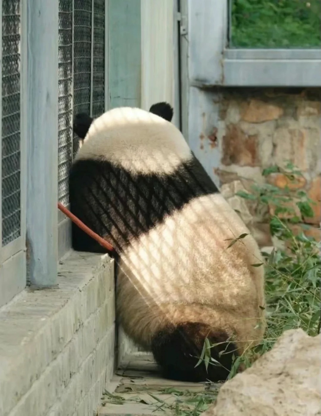 这个班为什么一定要上？