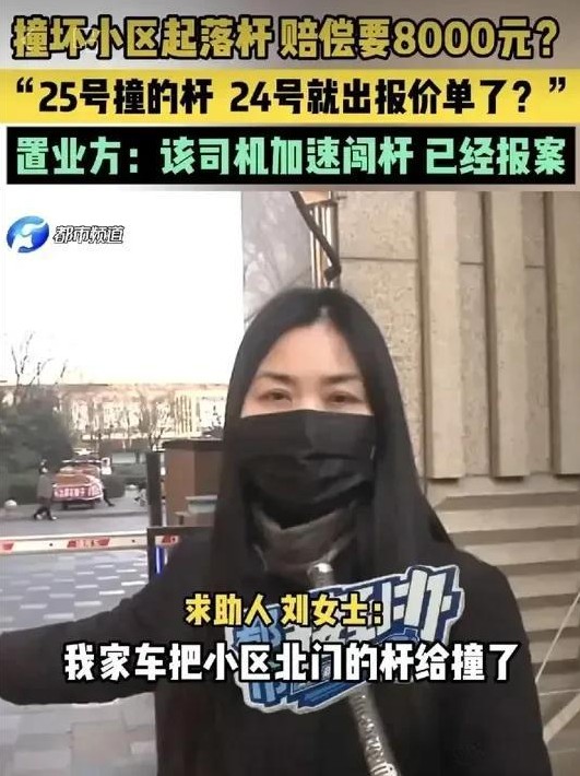 男子撞坏小区杆 物业索赔起纠纷

                       