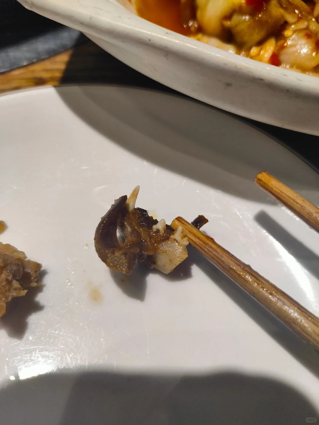 兔肉还是猫肉？（已有后续举报了）
去店里吃饭，点了一锅兔肉
但是有一块肉有这样牙