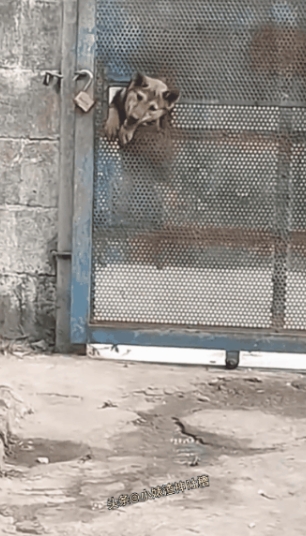 这算是越狱成功了吧？[捂脸][捂脸][捂脸]