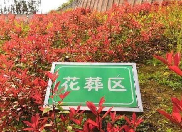 琼瑶5.5亿豪宅变凶宅？
 
八十多岁的老人，无论怎么死的，对房子都不会有影响。
