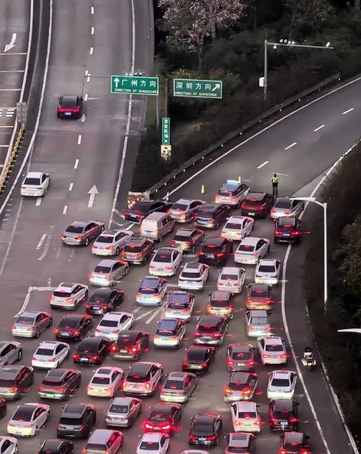仔细看，你看出来了什么？