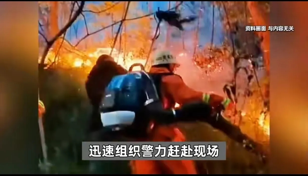 贵州，女子在山上捡矿泉水瓶卖钱，一个瓶子卖0.15元，可瓶子不多，她突发奇想，如