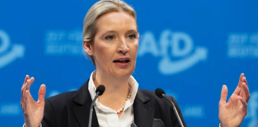德国政坛炸锅！魏德尔放狠话：绝不派兵、停止军援乌克兰！
德国选择党党首魏德尔近日