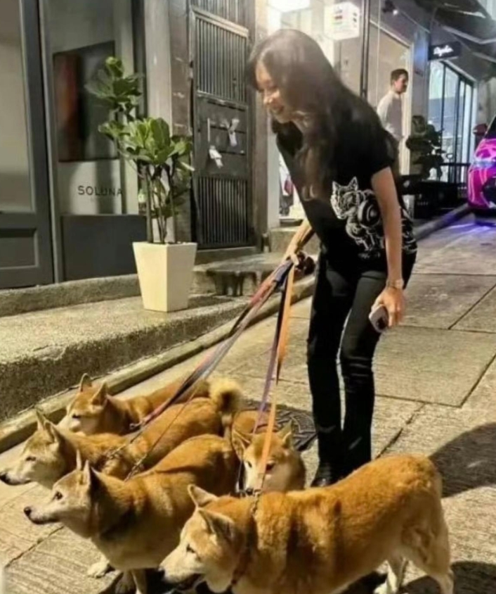 莫文蔚没有孩子，她把所有的爱都给了五只爱犬
￼