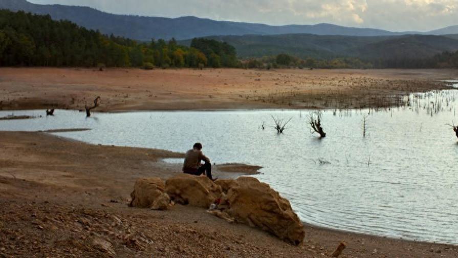 锡兰的电影美学