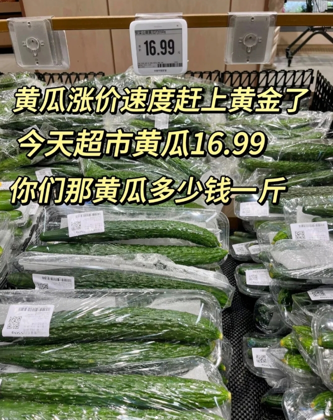 1. 季节性因素：夏季温度较高，不利于蔬菜生长，导致市场供应相对不足，蔬菜生产出