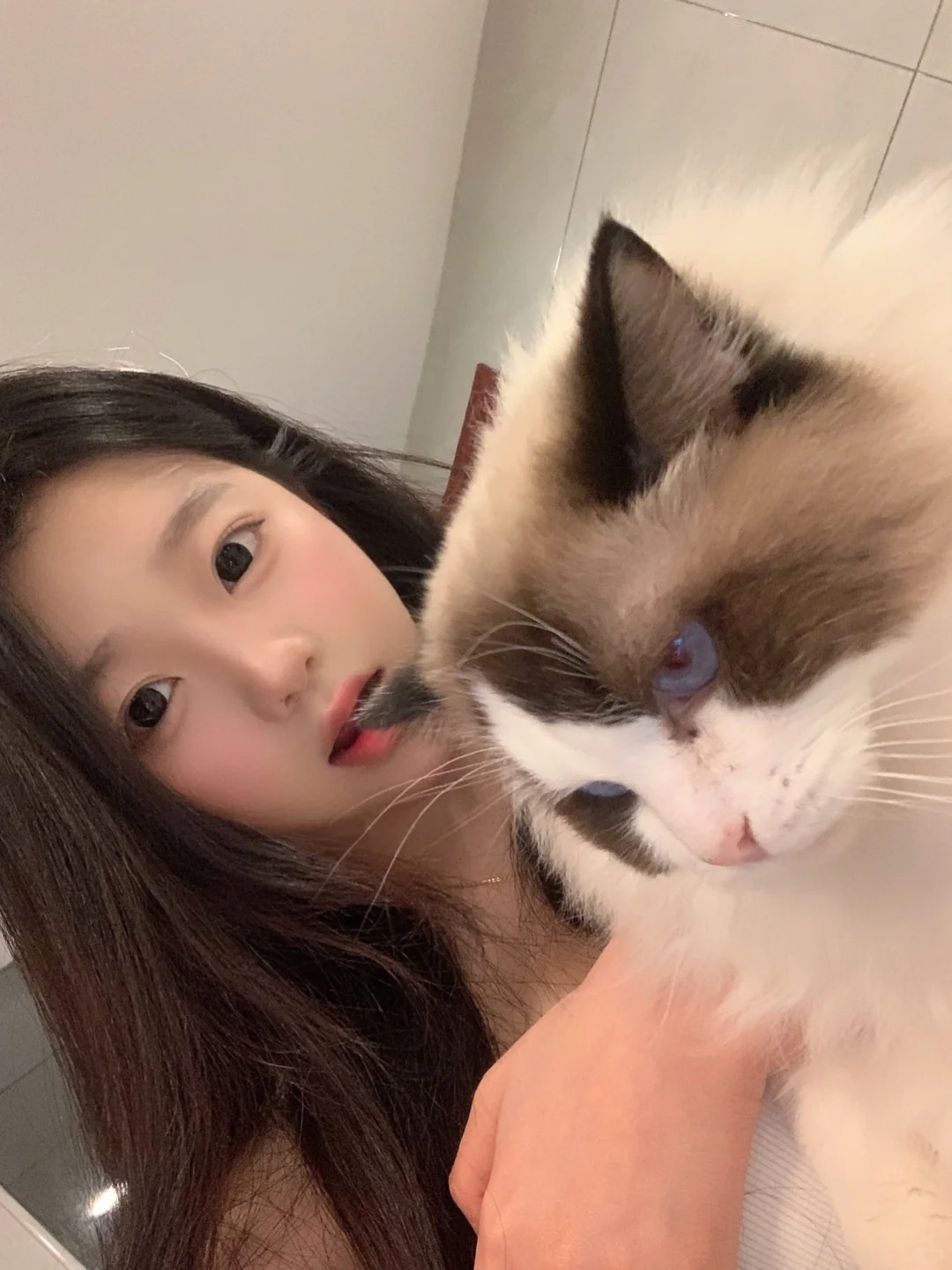 咪咪你再愁眉苦脸一个试试呢！