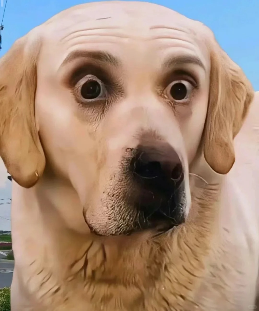 被婆婆发现战衣了怎么办🥹
救命啊，昨天晚上结束战斗之后就去洗漱了，然后换上了舒