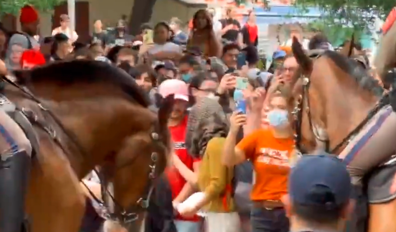 这几天，美国好几座大学搞“五四运动”，国内媒体很少报，公知自媒体也噤若寒蝉。

