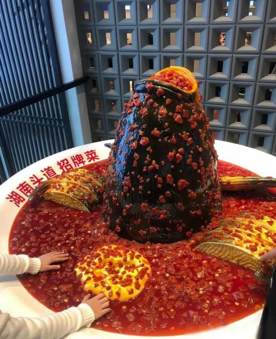 这么大的鱼头，该咋吃啊？