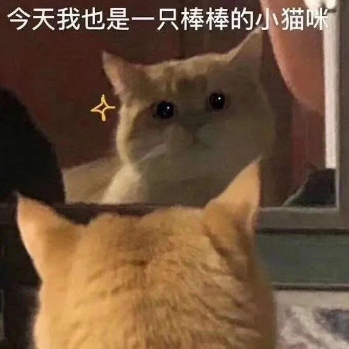 别跟我嬉皮笑脸