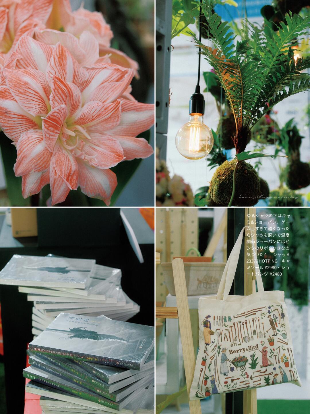 跟妈妈一起的365日｜去看中国国际花卉园艺展