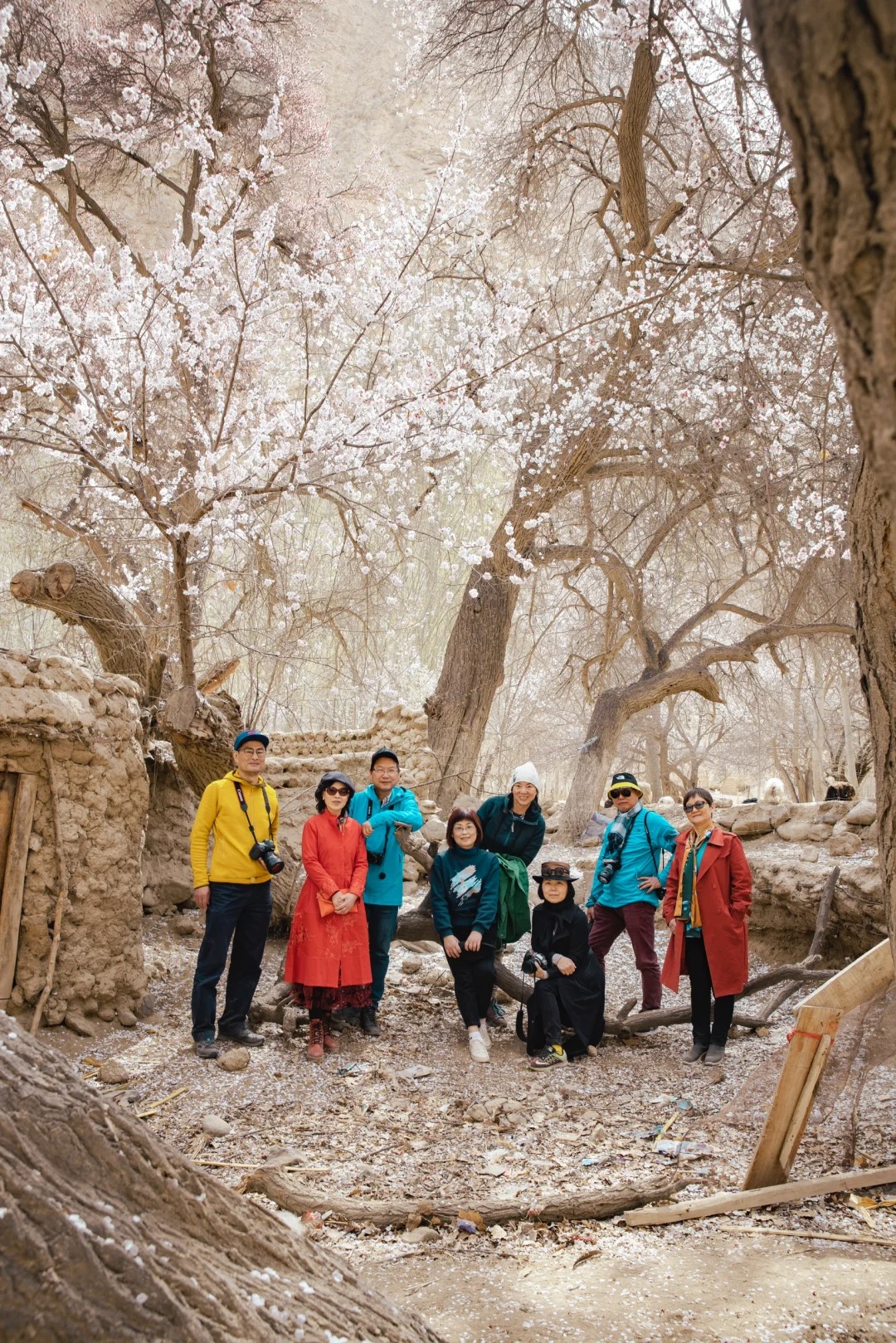 南疆，一个非常原始的杏花村