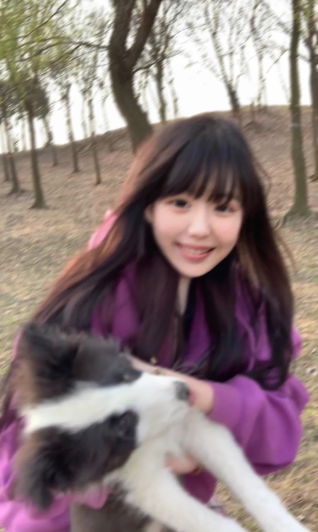 小狗把我唯一怕狗的朋友当羊牧🤬
本来想炫耀一波被我训的贼听话的天使小狗，已经放