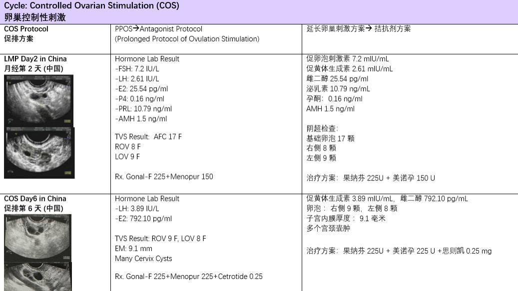 破茧向生：“无精”阴霾下的孕育奇迹