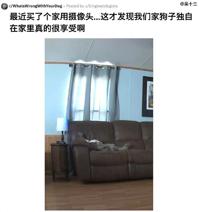 总算没人了，不用再装狗了