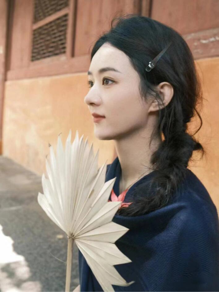 太绝了赵丽颖