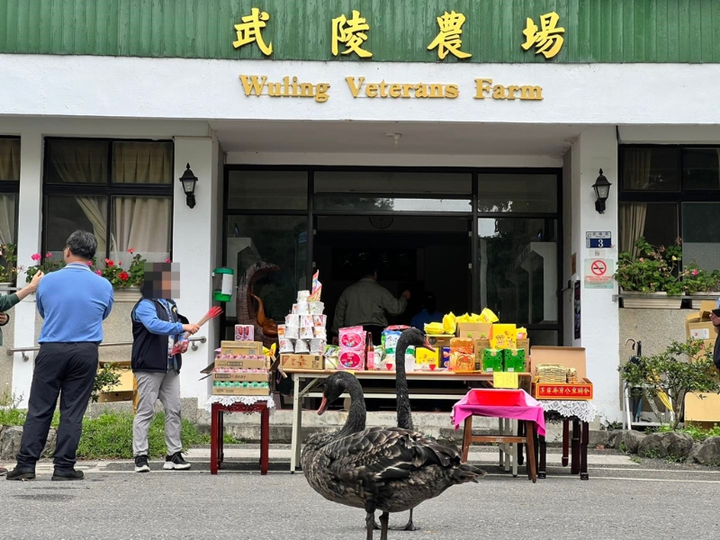武陵农场女主任“拍桌门”，是职场霸凌还是管理冲突？