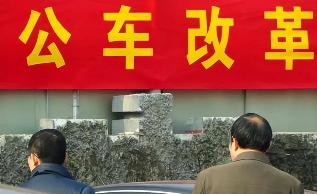 新来的镇委书记发现自己拿着车补，却坐着公车公干，下乡出差又拿着下乡补助，而镇里的