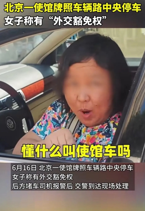 “你懂什么叫使馆车吗？你懂什么叫外教豁免权吗？”，我还真不懂，我只知道外交豁免权