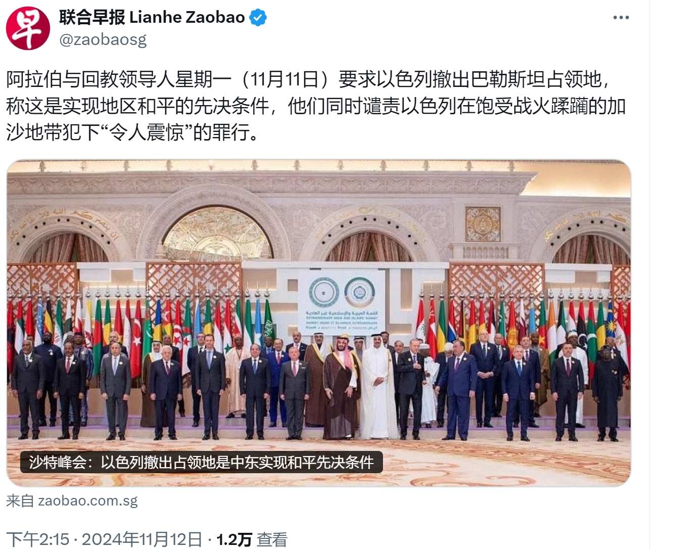 阿拉伯与伊斯兰领导人要求以色列撤军