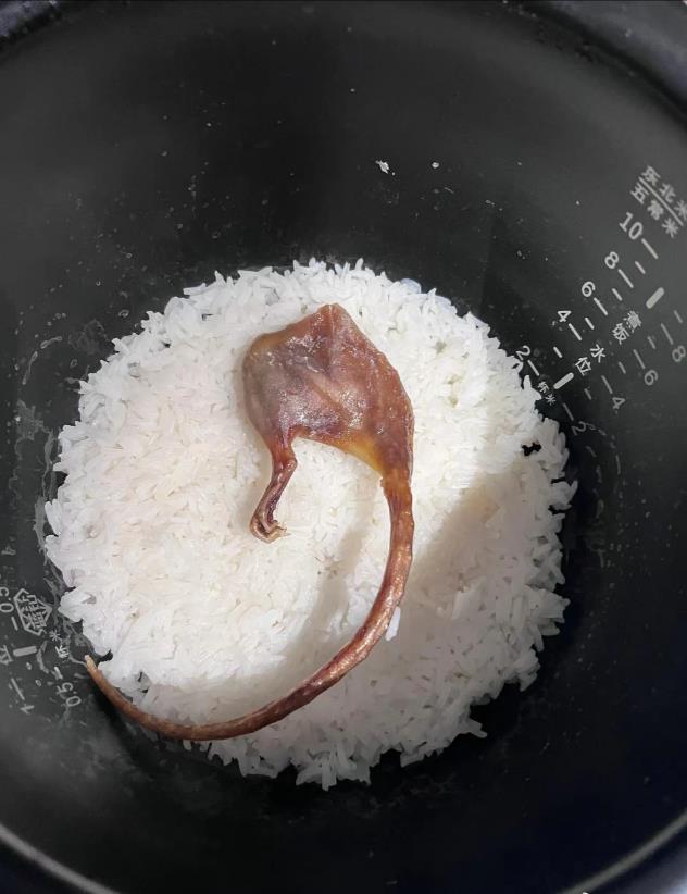 广西老表自己做的腊味饭