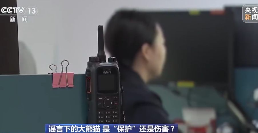 四川，一个名为白某红的女子在网络上悄然出现，她以自己和丈夫为保护大熊猫的“发声者