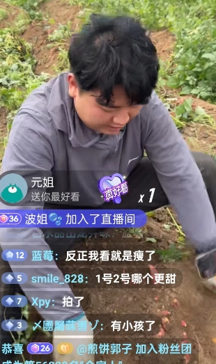 全进华在直播挖番薯，这对于很多没有现场见过挖番薯的人，实在是非常的新鲜，他说他的