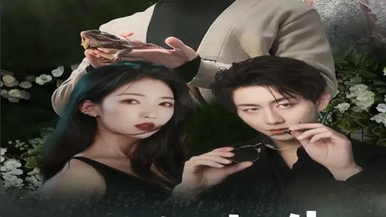 《错位人生&养大他人的儿子后我笑了》短剧超清在线免费观看未删版全集【1080p超清中字】免费播放