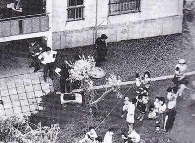 为挣脱兽父牢笼，她改写日本刑法